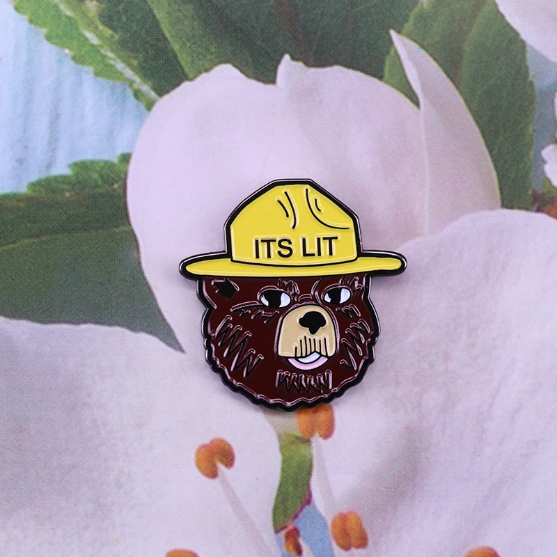 Jeho Lit Smokey Medveď Brošňa Hnedé Enviromental Maskot Odznak Kolíky Len Vy môžete Zabrániť Wildfires Klobúk Pin