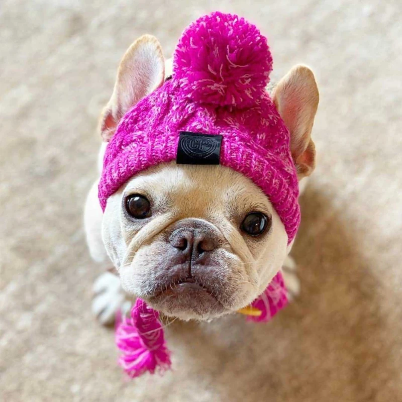 Zimné Knittied Psa Klobúk pre francúzsky Buldog Chihuahua Teplý Pes Teplé a Windproof Lístkového Loptu Pletené Psa Boj Nové Pet Headgea