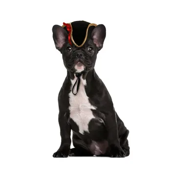 5 Farba Leta Pet Sun Hat Ich Doplnky Pirát Námorník Pilot Cat Dog Party Zdobiť Vianočné Šteňa Spp Domáce Zvieratá