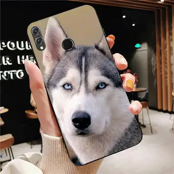 TOPLBPCS Husky roztomilý psa Telefón puzdro Na Huawei Honor 7A 8X 9 10 20lite 10i 20i 7C 8C 5A 8A Česť Hrať 9X pro Mate 20 lite 0