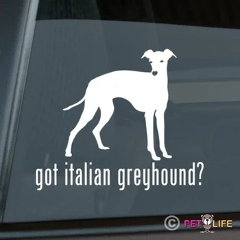 Dostal taliansky Greyhound Nálepky vysekávané Vinyl - iggy ig okno odtlačkový