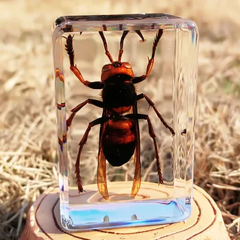 Nové Reálne Hmyzu Vzor Transparentné Živice Spider Jeseň Brnenie Golden Turtle Scorpion Wasp