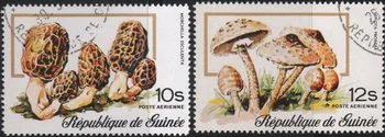 2ks/Set Guinea-Bissau Post Pečiatky Huby Používané Post Označené Poštových Známok na Zber 0