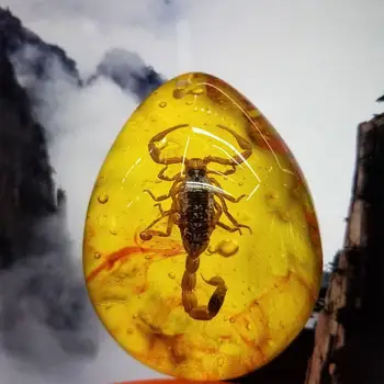 Hmyzu Kameň Prírodný Scorpions Zaradenie Amber Baltic DIY Prívesok Náhrdelník Domov dekoračný Kameň Svadobné Party Darček